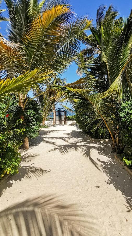 Villa Malaika Jambiani  Exteriér fotografie